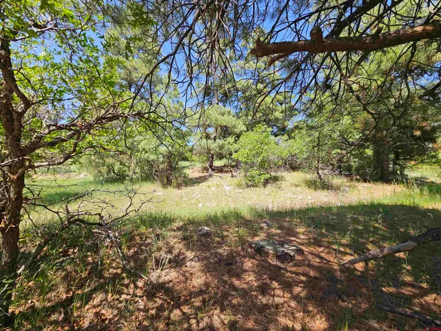 a view of yard with green space