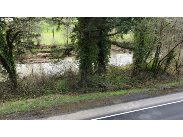 $15,900 | 38 State Highway, Drain, OR 97435