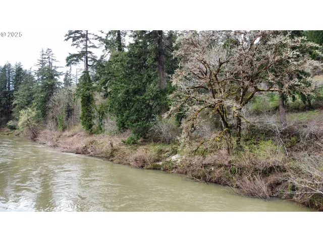 $15,900 | 38 State Highway, Drain, OR 97435