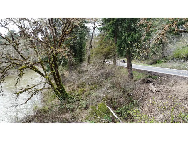 $15,900 | 38 State Highway, Drain, OR 97435