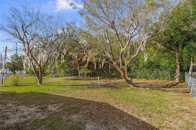a view of a yard with a trees