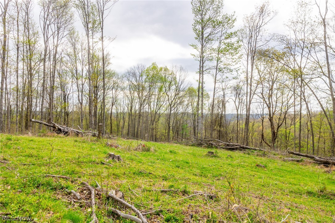 2115 Goss Fork Road, Unit 2 Whipple, OH 45788 - Photo 7 of 23