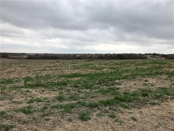 a view of a lake from a yard