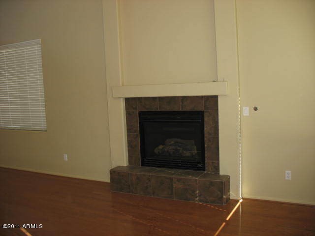 43224 Roth Road Maricopa, AZ 85138 - Photo 5 of 11 fireplace