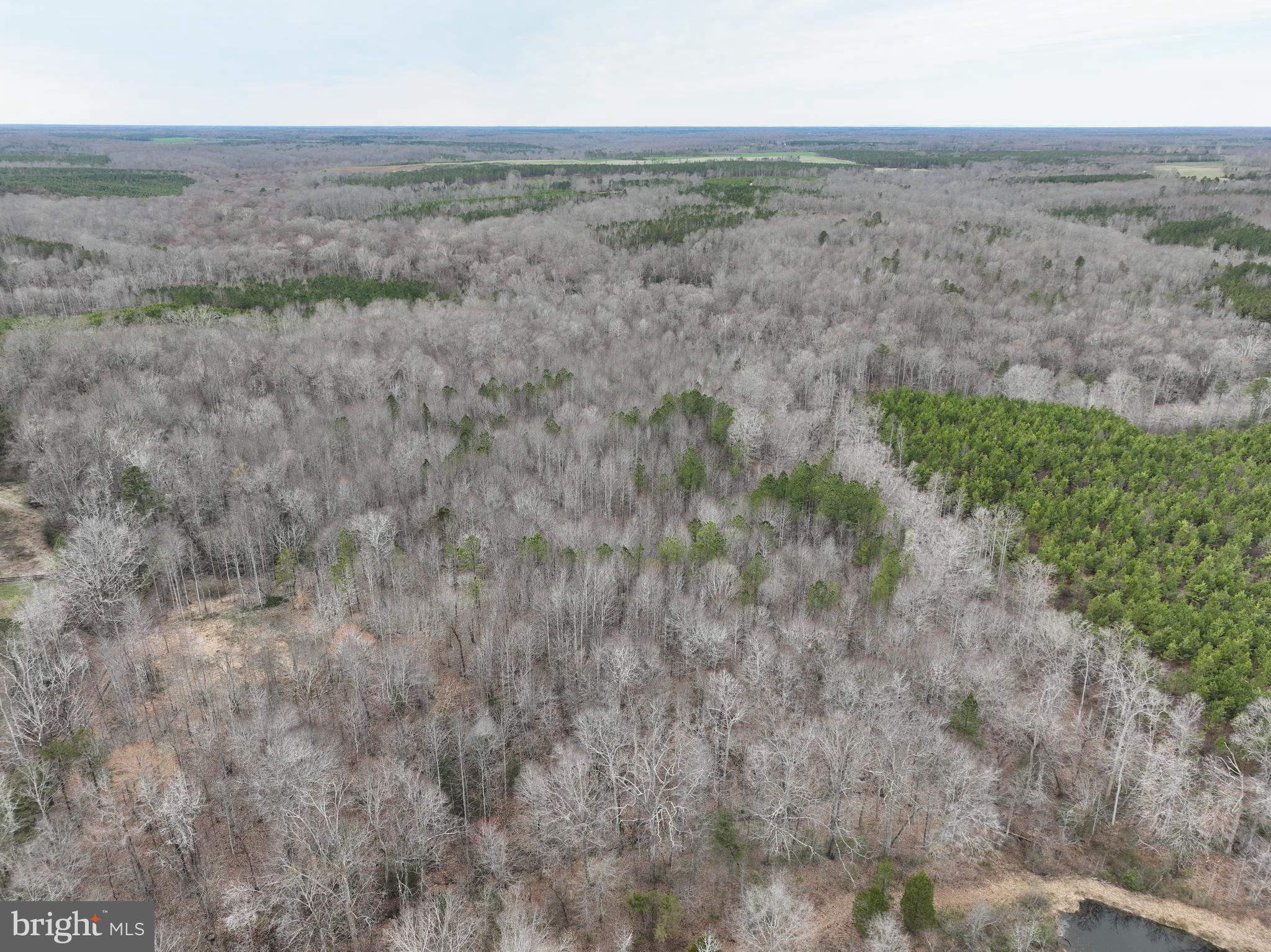 a view of a dry grass field