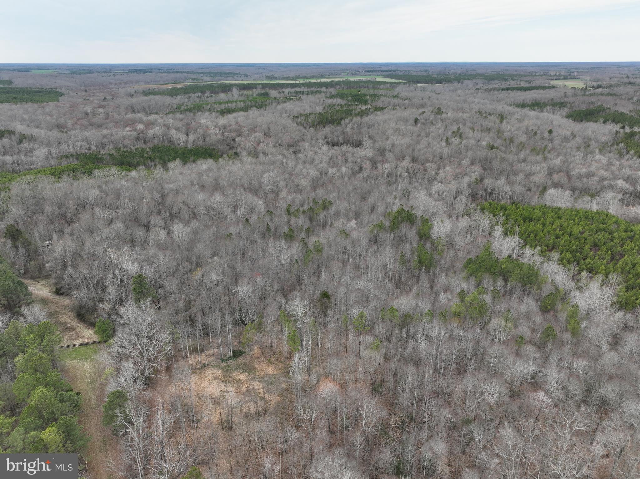 0 Oneal Road Champlain, VA 22438 - Photo 1 of 6 a view of a field