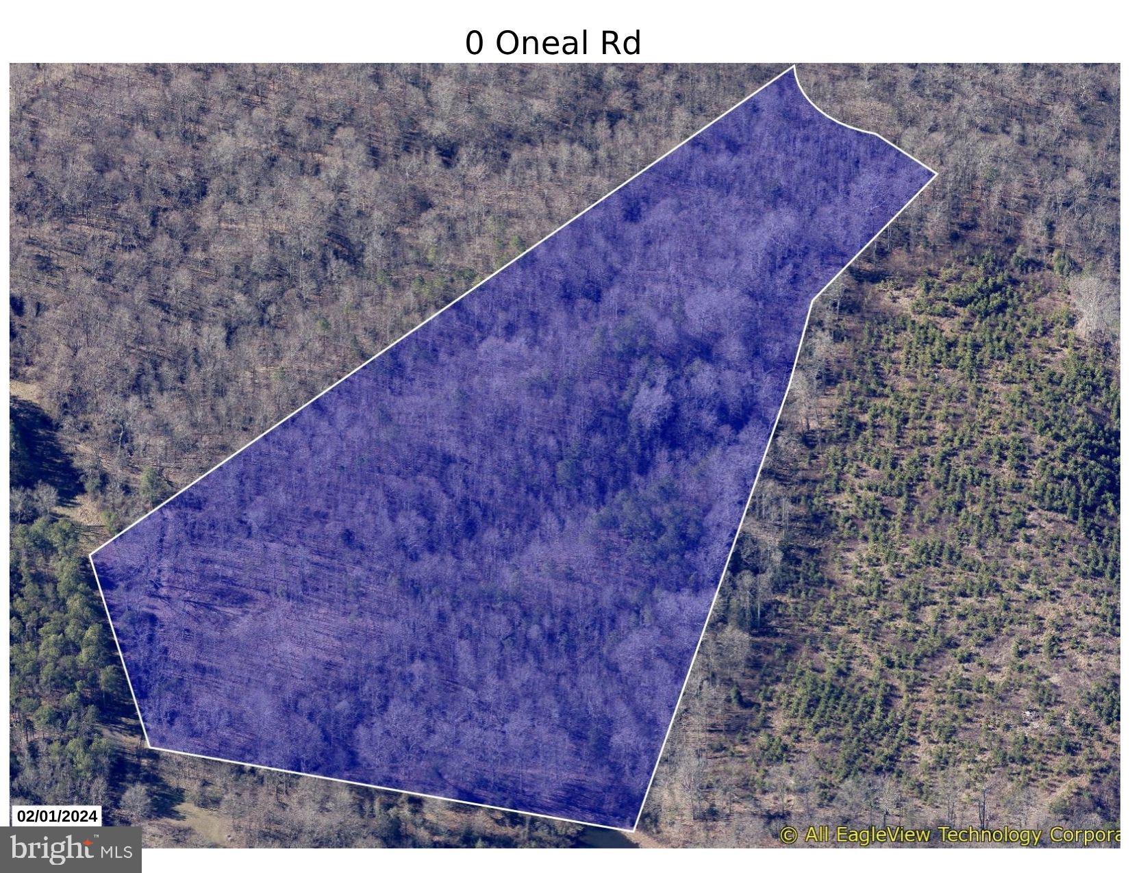 0 Oneal Road Champlain, VA 22438 - Photo 2 of 6 a view of a dry yard with trees
