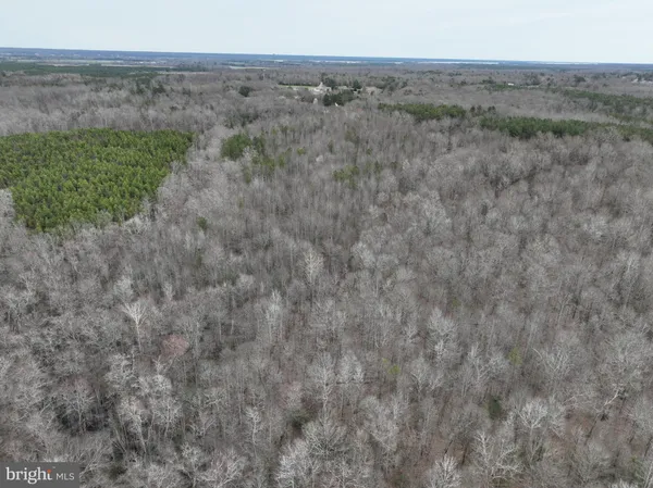 a view of a dry grass field