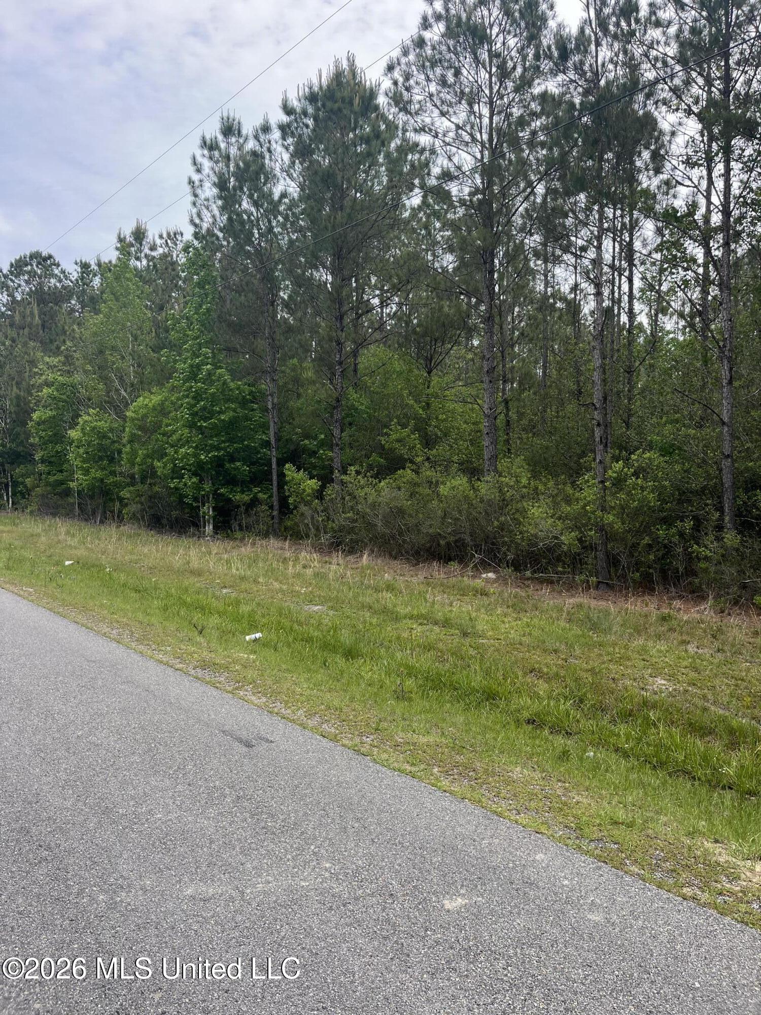 Lot 1 Leetown Road Picayune, MS 39466 - Photo 2 of 3 IMG_2957