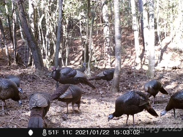 6234 Adako Road Lenoir, NC 28645 - Photo 12 of 31 Gallery Image 12