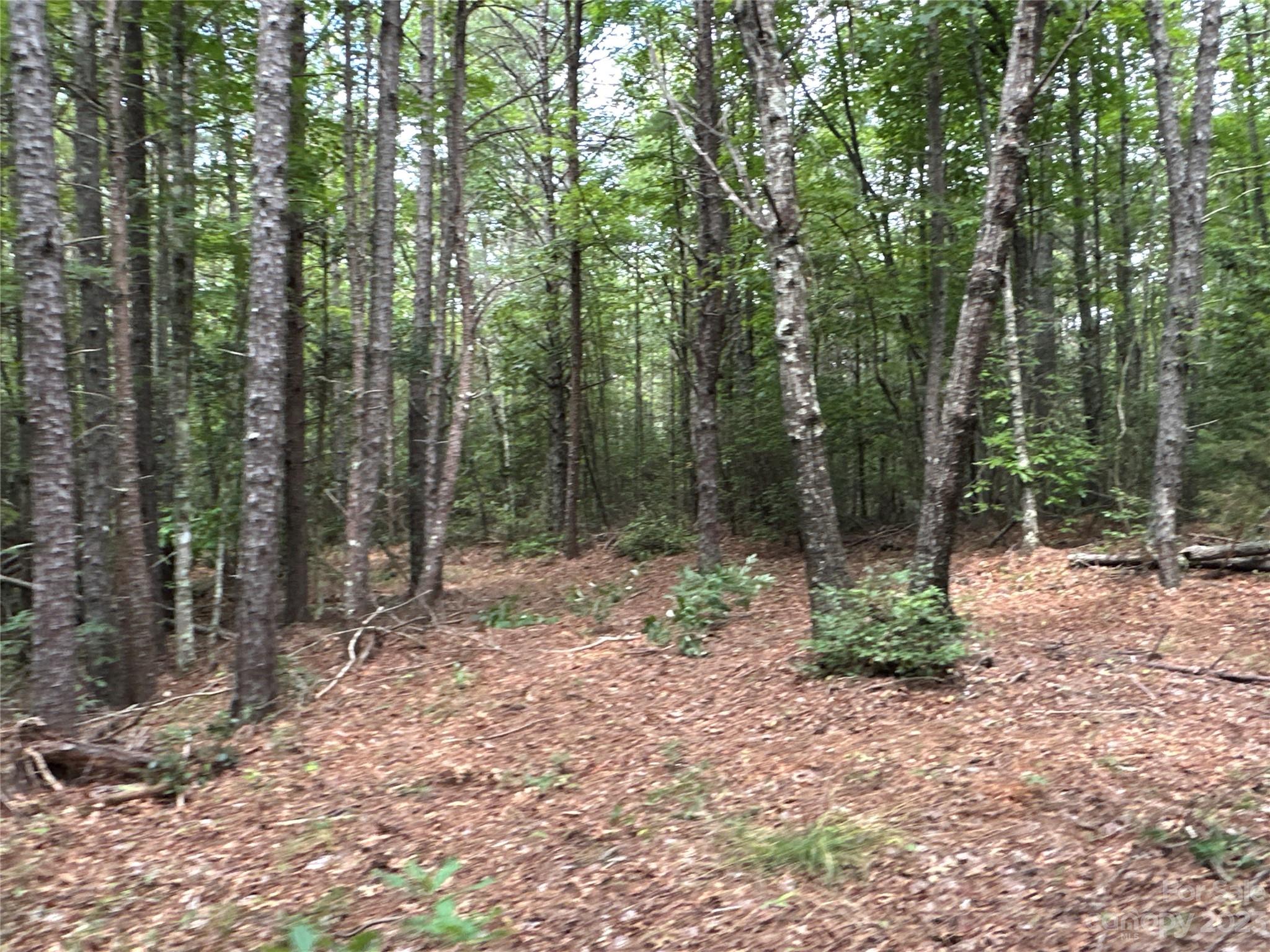 6234 Adako Road Lenoir, NC 28645 - Photo 25 of 31 Gallery Image 25