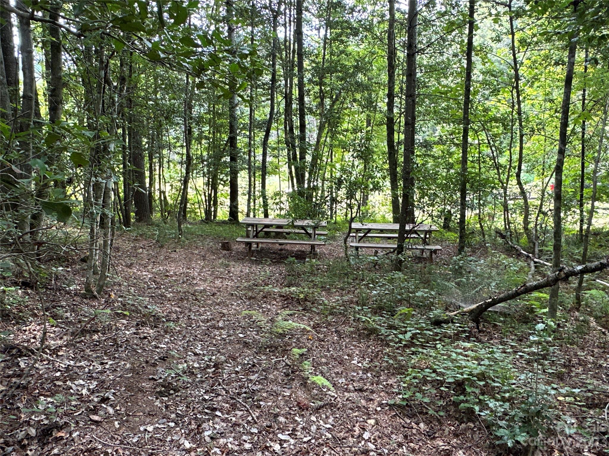 6234 Adako Road Lenoir, NC 28645 - Photo 27 of 31 Gallery Image 27