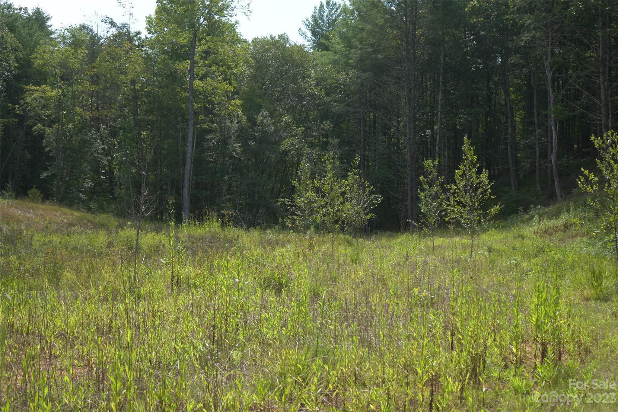 6234 Adako Road Lenoir, NC 28645 - Photo 28 of 31 Gallery Image 28