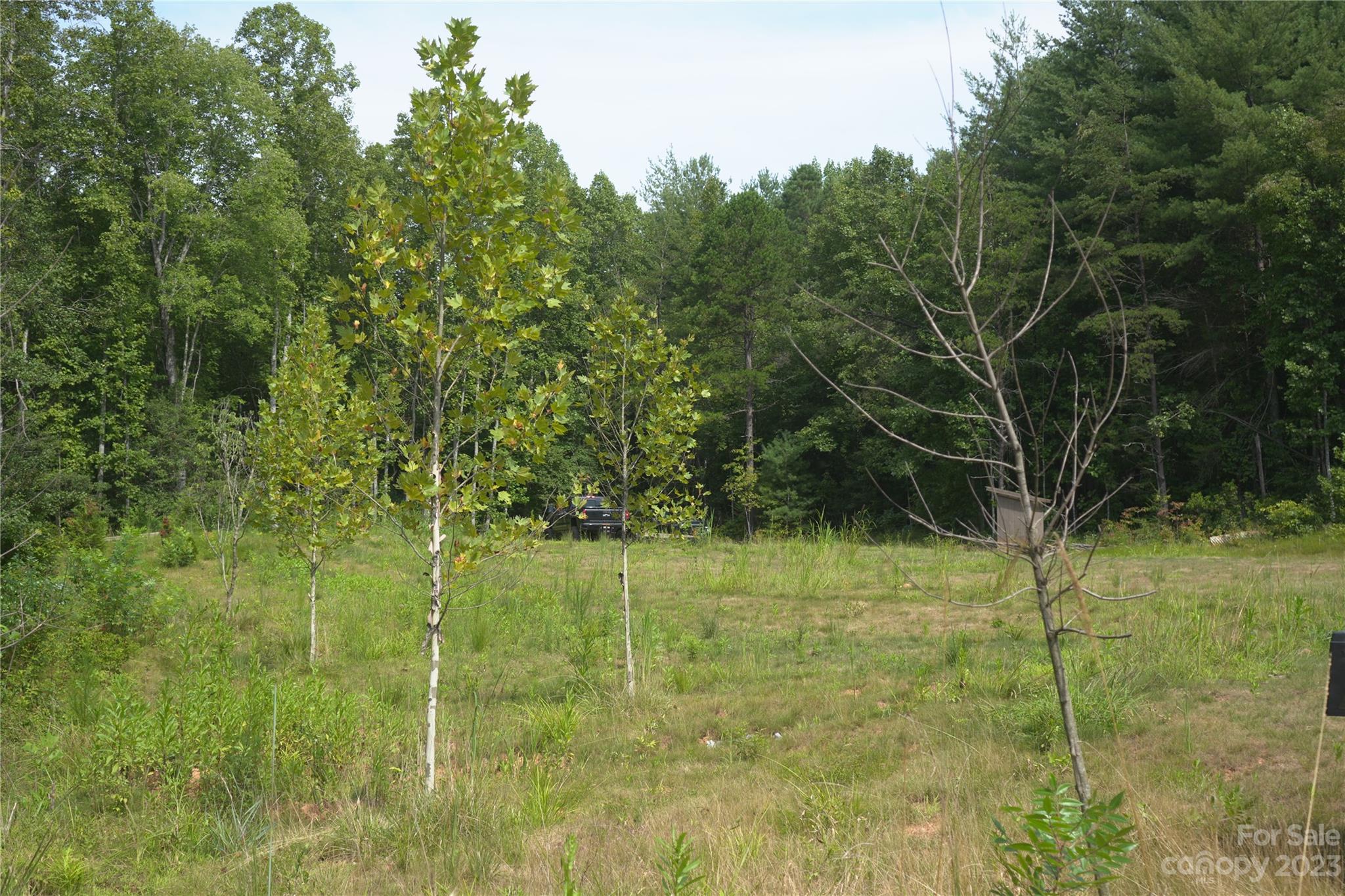 6234 Adako Road Lenoir, NC 28645 - Photo 31 of 31 Gallery Image 31