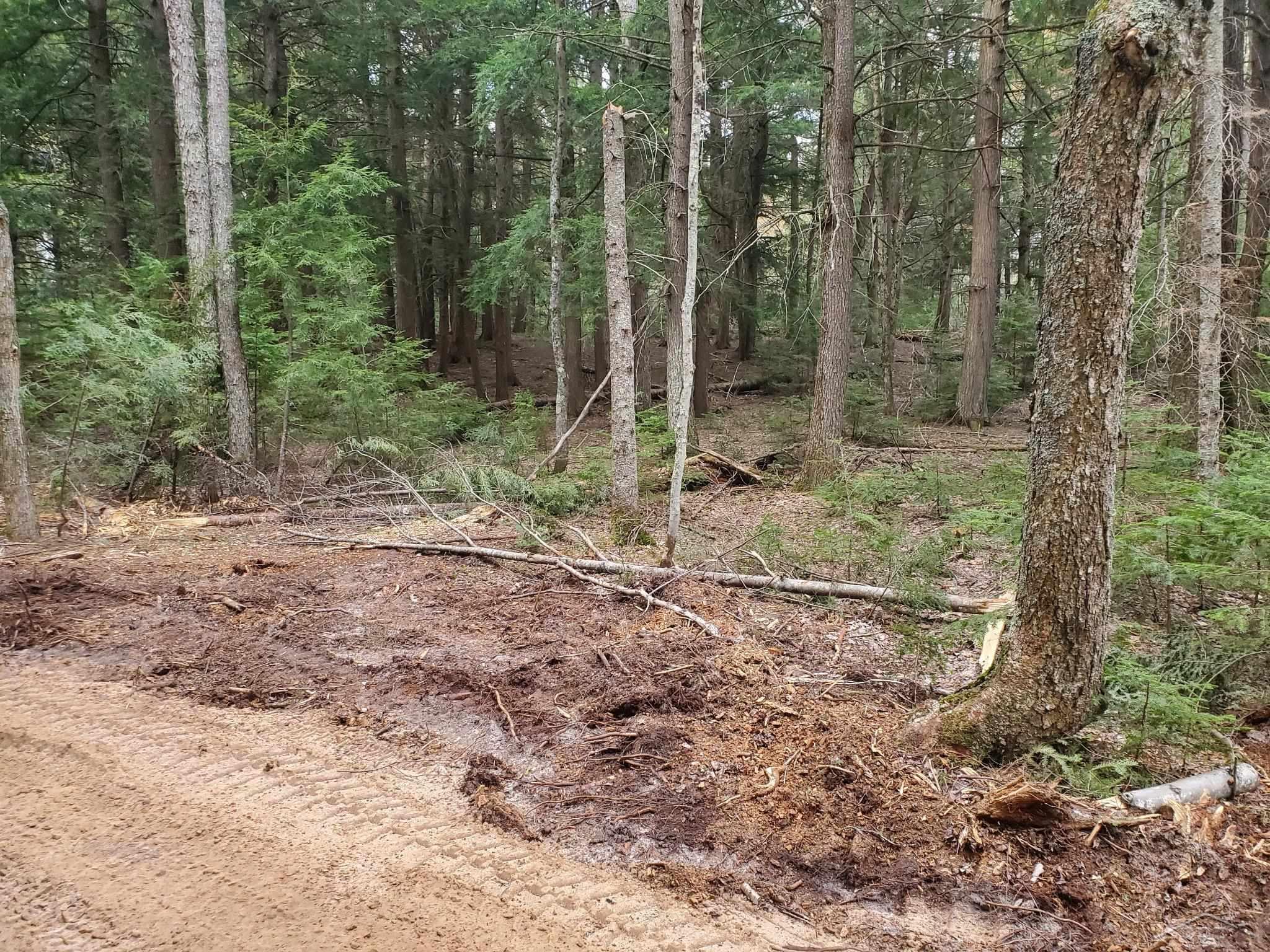 Old Plank Road Wetmore, MI 49895 - Photo 8 of 13