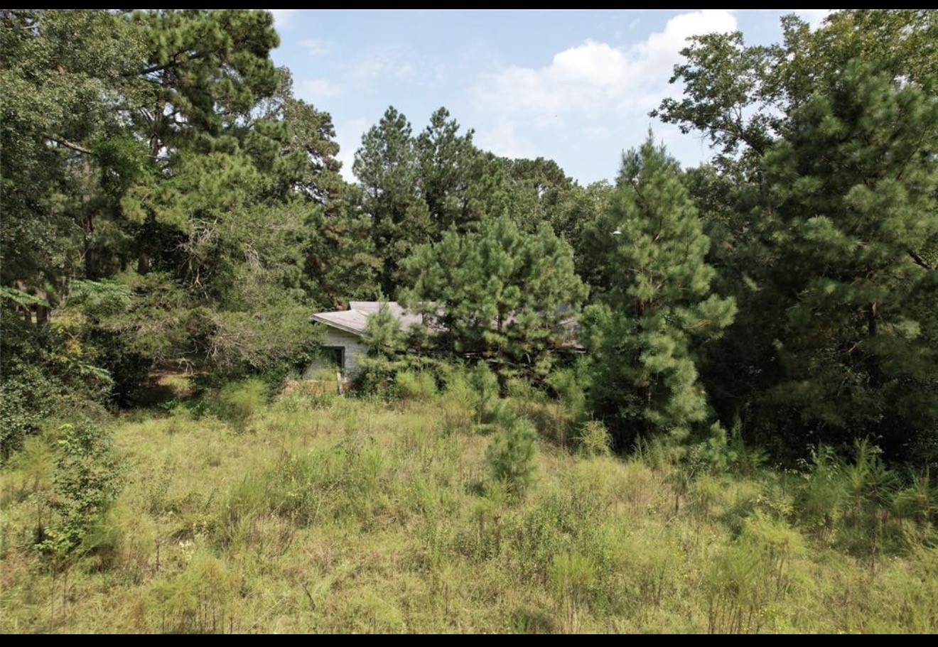 4.3 Lacy 3 Road Groveton, TX 75845 - Photo 5 of 14