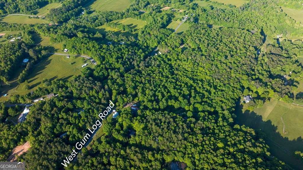 1 West Gum Log Road Warne, NC 28909 - Photo 2 of 26