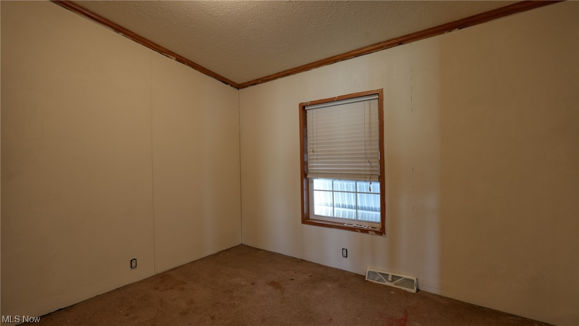 59062 Marietta Road Byesville, OH 43723 - Photo 18 of 33 Empty room featuring a textured ceiling, light carpet, and crown molding