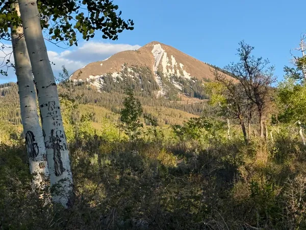 $350,000 | Lot F Lot F Top Of The World Drive, Placerville, CO 81430