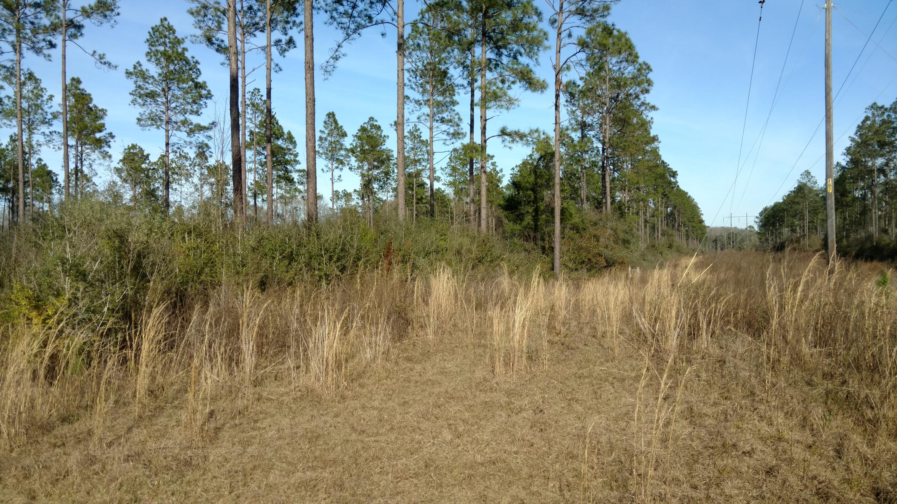 1502 Yorkey Road, Unit EAST Westville, FL 32464 - Photo 1 of 3 IMG_20170209_145636678