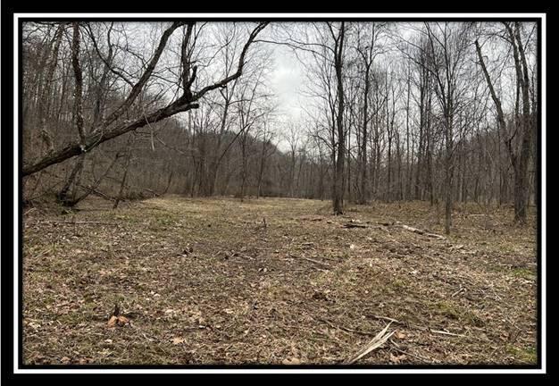 35471 Buck Run Road Langsville, OH 45741 - Photo 10 of 32
