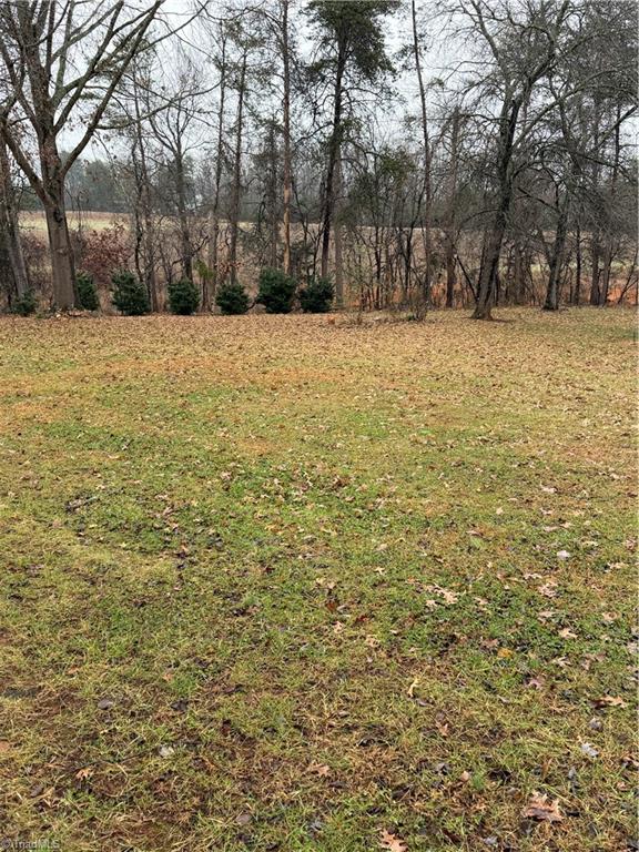 3724 Fall Creek School Road East Bend, NC 27018 - Photo 21 of 21