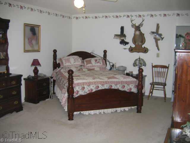 3567 Old Mountain Road Trinity, NC 27370 - Photo 5 of 9 Other.