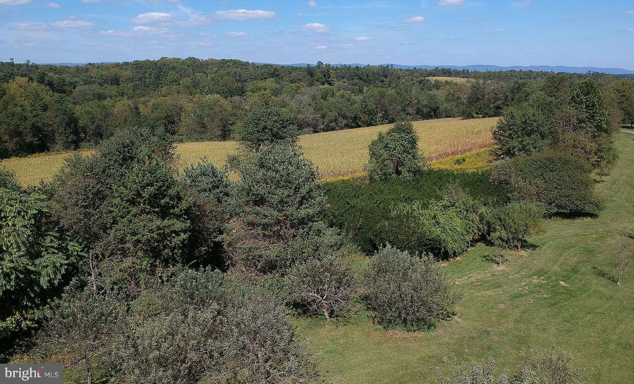 256 Richland Road Carlisle, PA 17015 - Photo 56 of 62