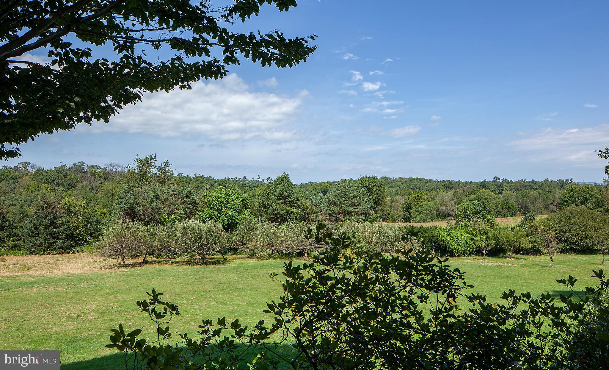 256 Richland Road Carlisle, PA 17015 - Photo 9 of 62