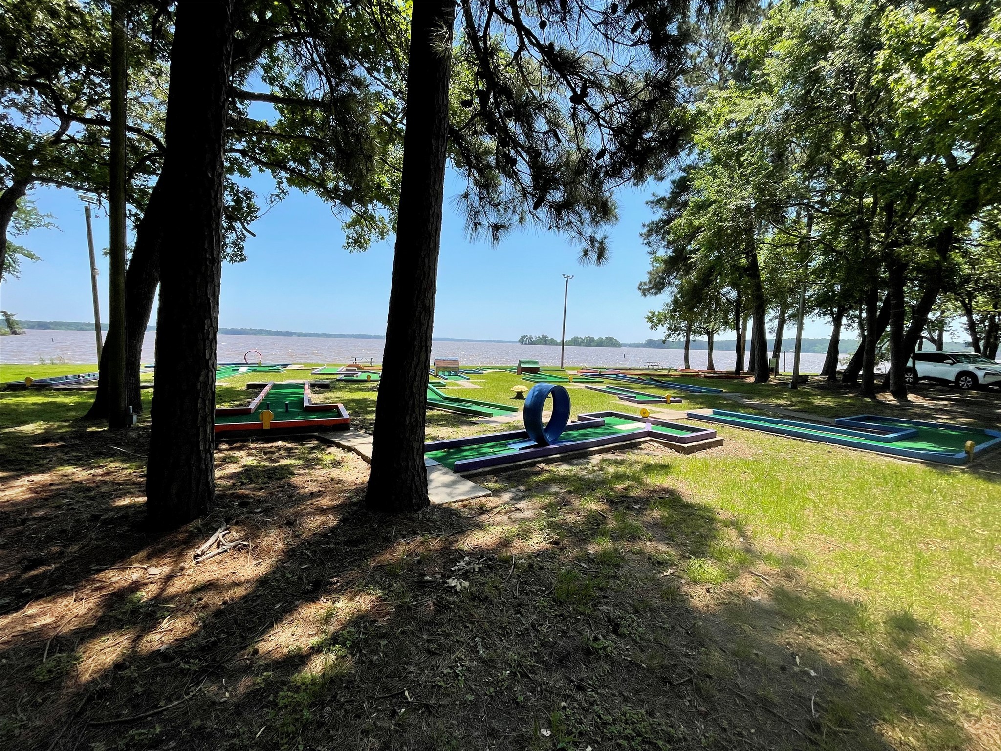 1171 Cardinal Lane Trinity, TX 75862 - Photo 13 of 14 a view of swimming pool with a yard and tree