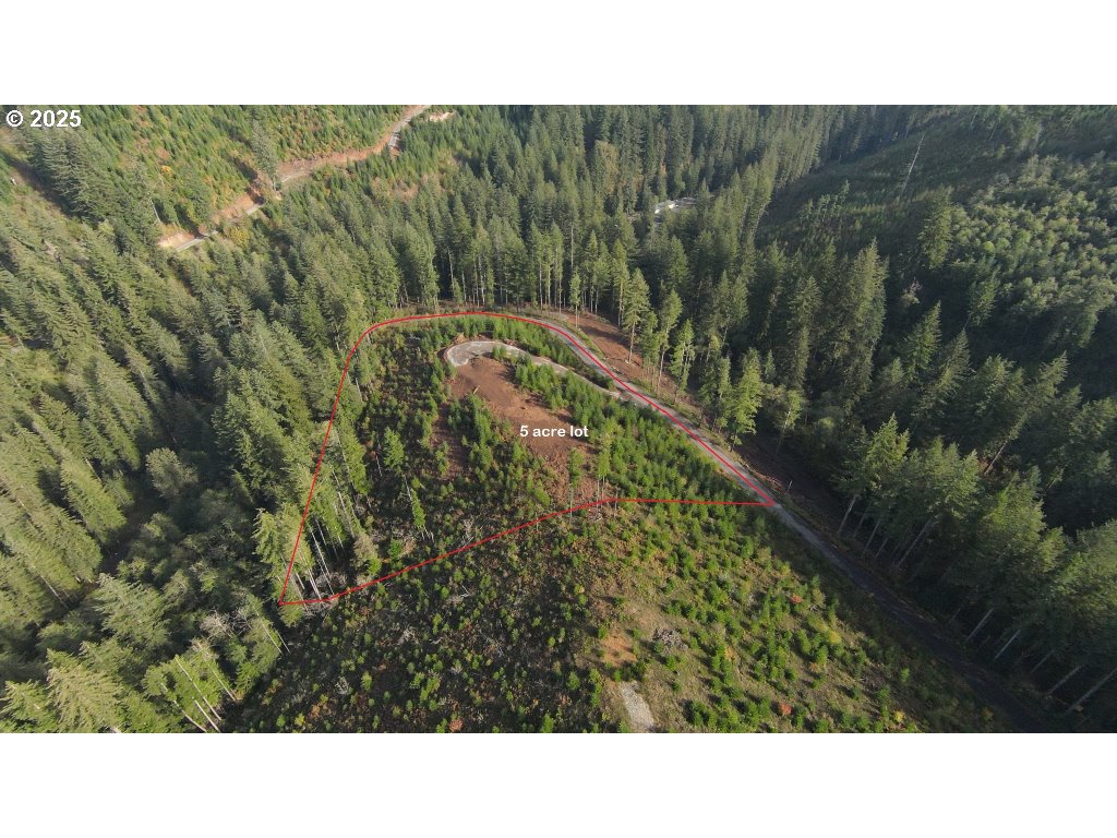 1051 Skamania Mines Road Washougal, WA 98671 - Photo 1 of 19