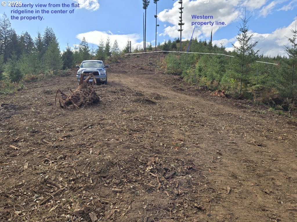 1051 Skamania Mines Road Washougal, WA 98671 - Photo 11 of 19