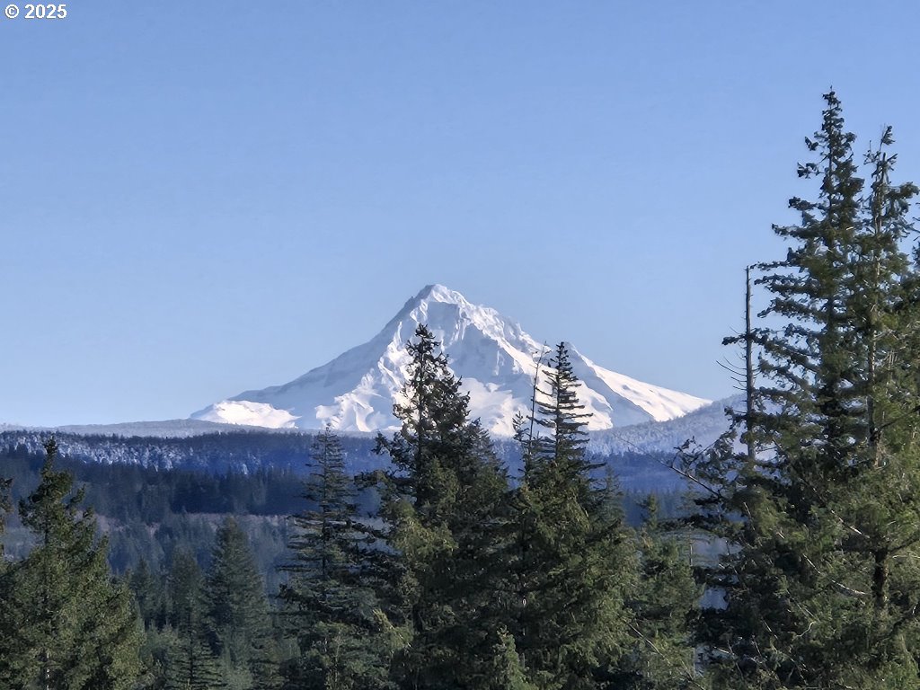 1051 Skamania Mines Road Washougal, WA 98671 - Photo 12 of 19