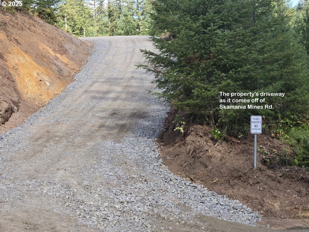 1051 Skamania Mines Road Washougal, WA 98671 - Photo 13 of 19