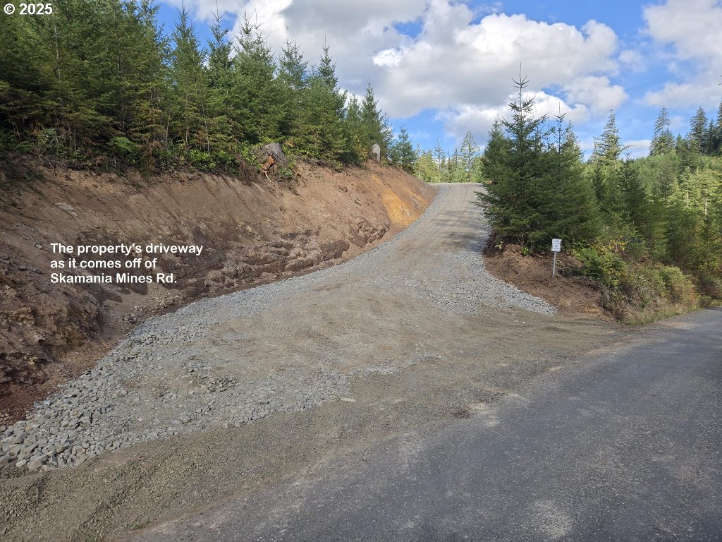 1051 Skamania Mines Road Washougal, WA 98671 - Photo 14 of 19