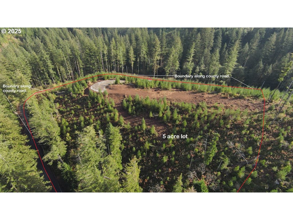 1051 Skamania Mines Road Washougal, WA 98671 - Photo 15 of 19