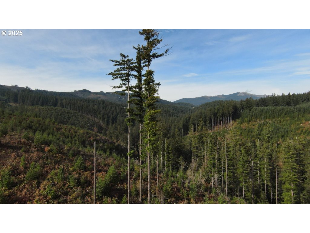 1051 Skamania Mines Road Washougal, WA 98671 - Photo 16 of 19