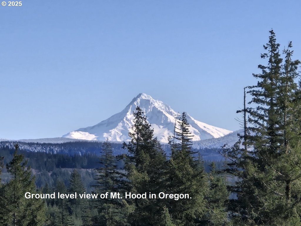 1051 Skamania Mines Road Washougal, WA 98671 - Photo 2 of 19