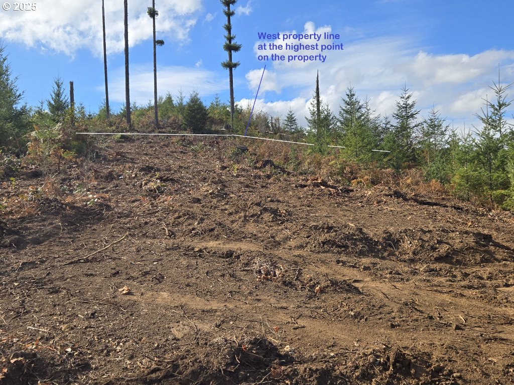 1051 Skamania Mines Road Washougal, WA 98671 - Photo 3 of 19