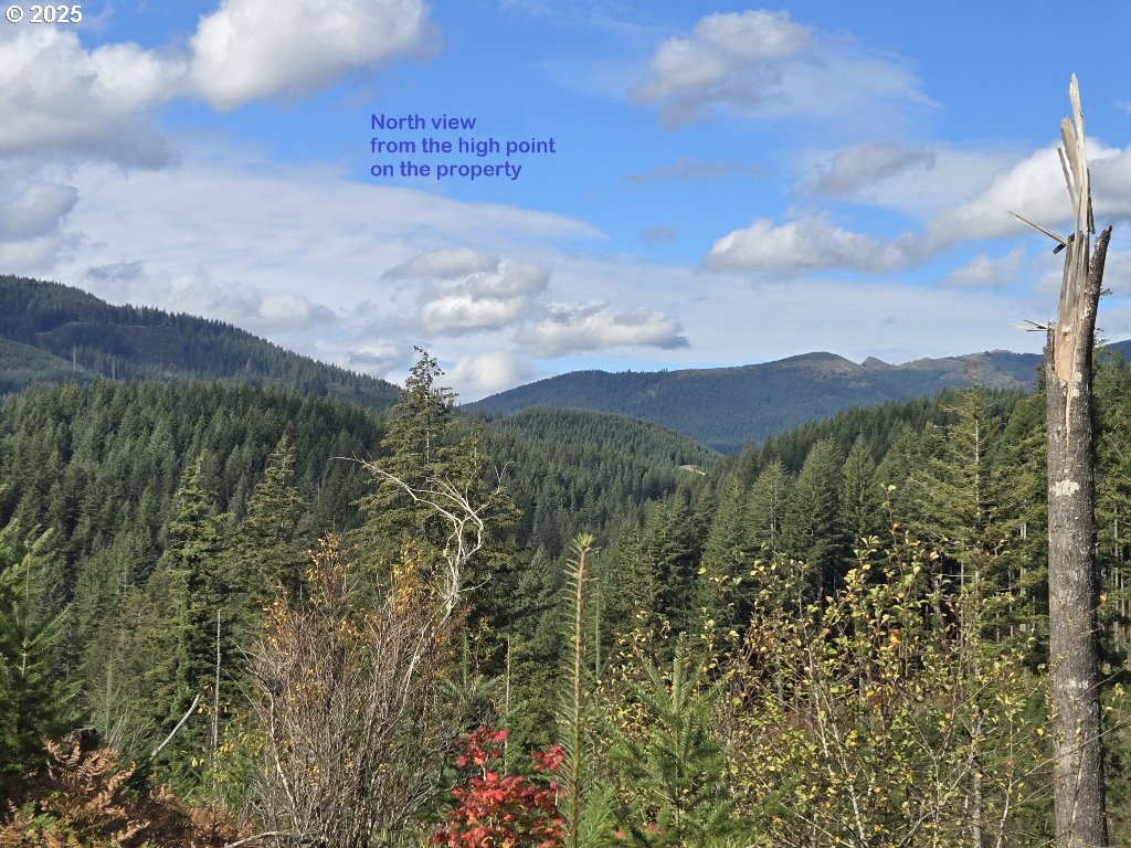 1051 Skamania Mines Road Washougal, WA 98671 - Photo 4 of 19