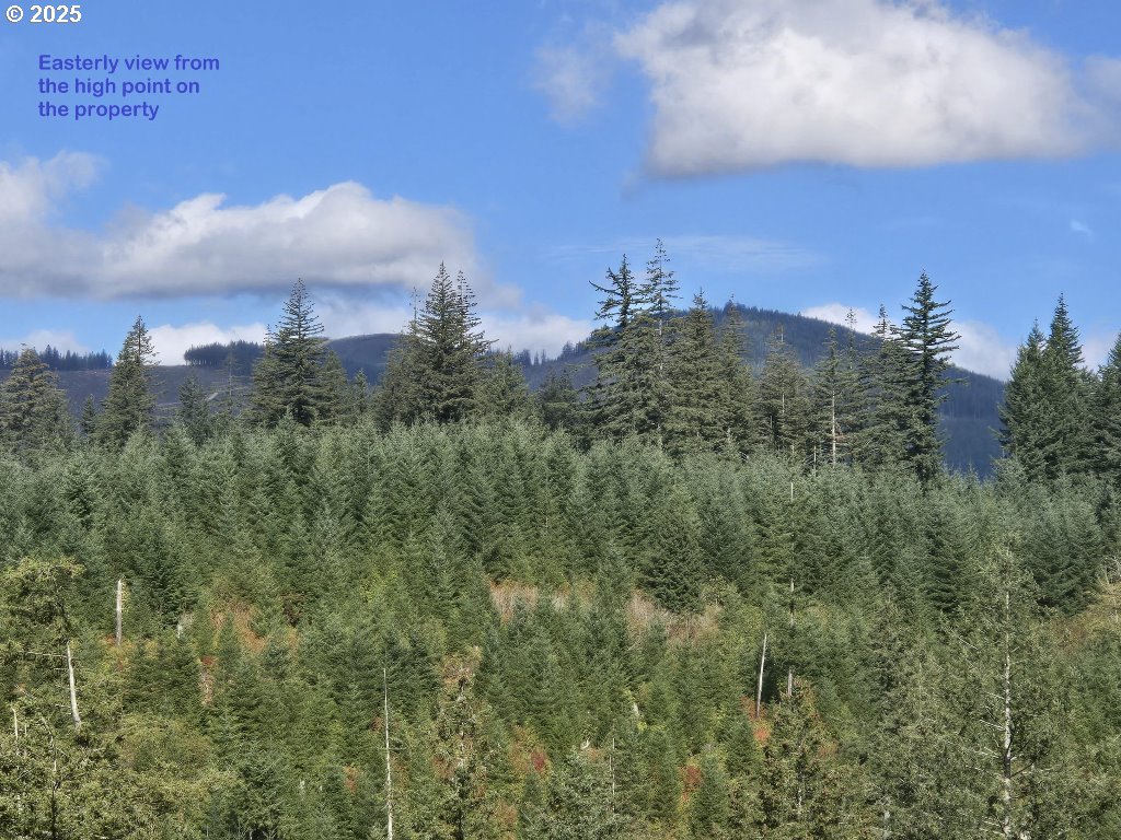 1051 Skamania Mines Road Washougal, WA 98671 - Photo 5 of 19