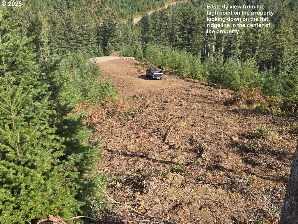 1051 Skamania Mines Road Washougal, WA 98671 - Photo 6 of 19