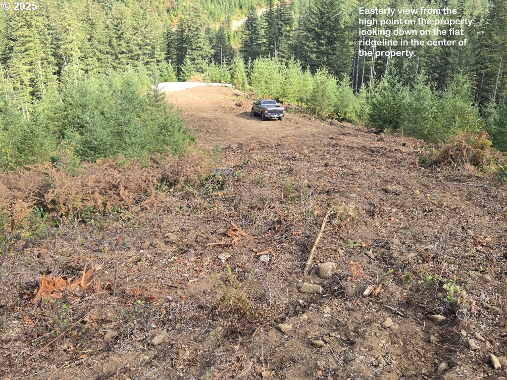 1051 Skamania Mines Road Washougal, WA 98671 - Photo 7 of 19