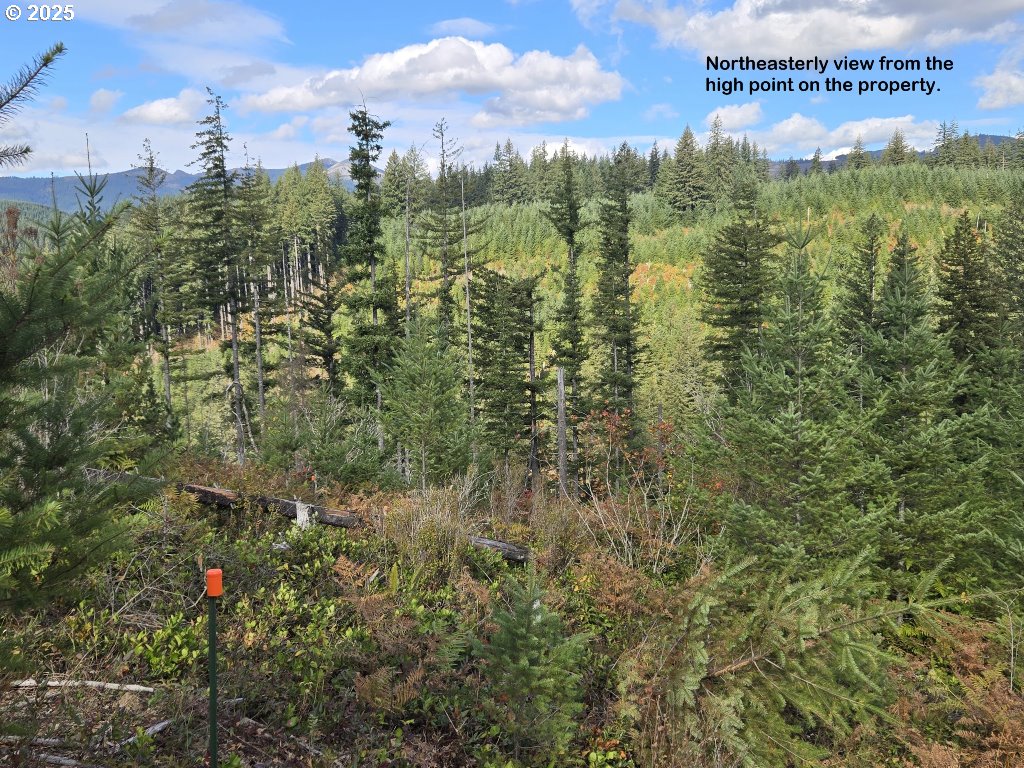 1051 Skamania Mines Road Washougal, WA 98671 - Photo 8 of 19