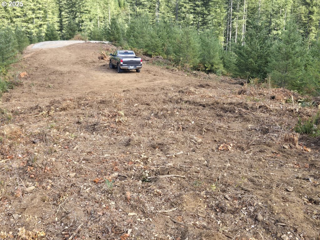 1051 Skamania Mines Road Washougal, WA 98671 - Photo 9 of 19