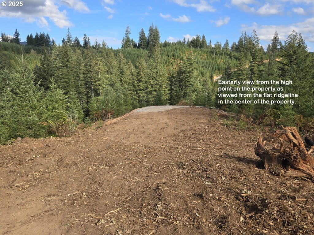 1051 Skamania Mines Road Washougal, WA 98671 - Photo 10 of 19