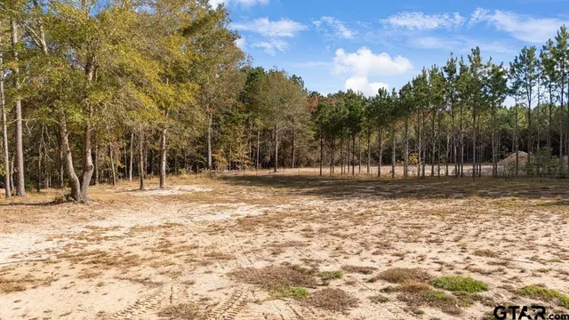 a view of a house with backyard and tree