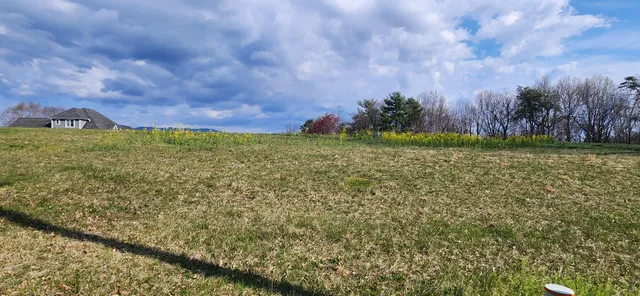 a view of a big yard with a building in the background