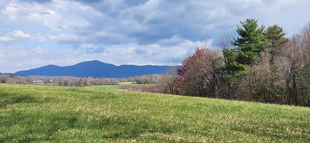 a view of an lush green mountain