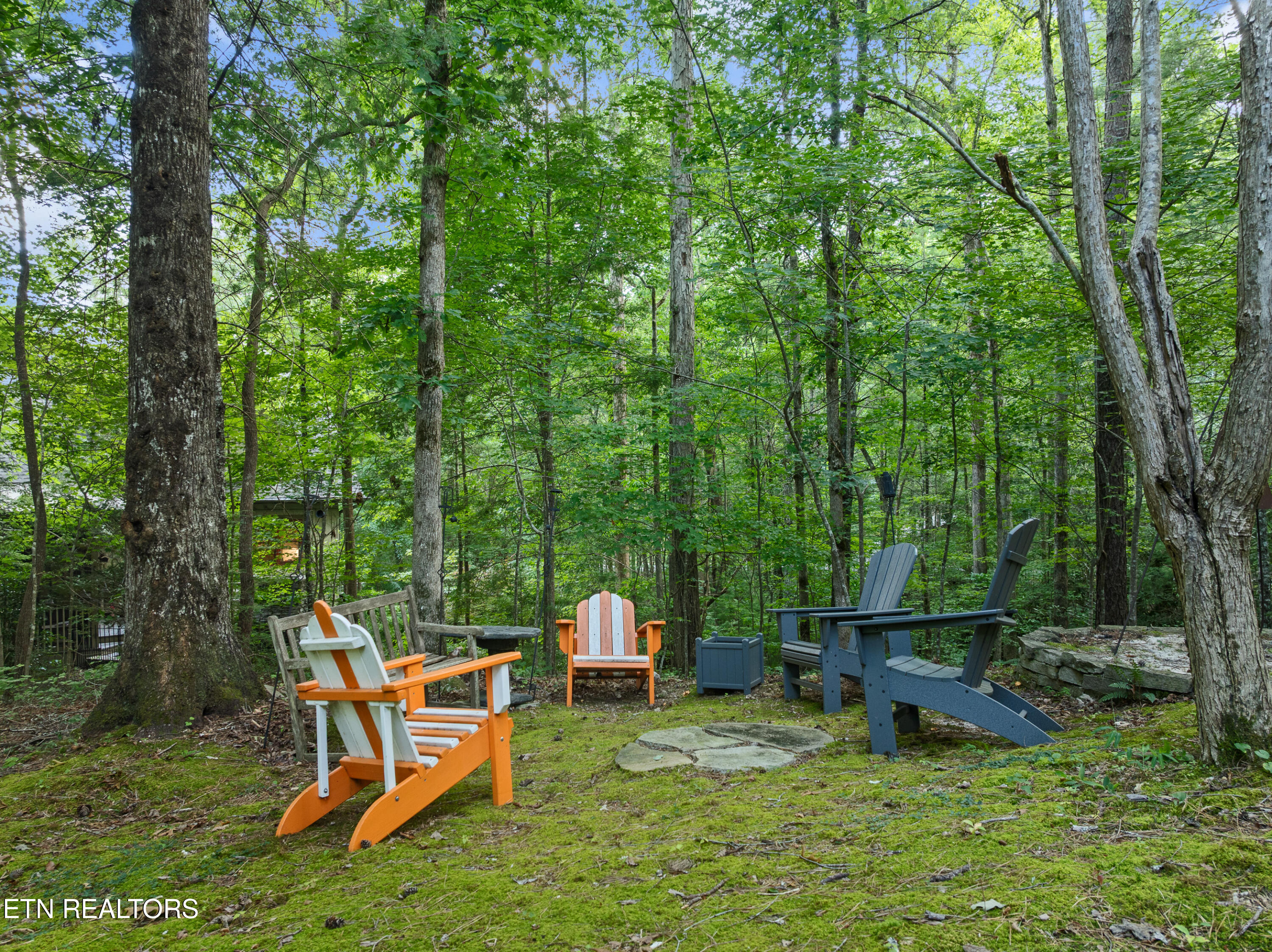 453 Mountain John Loop Townsend, TN 37882 - Photo 58 of 58 DJI_0131